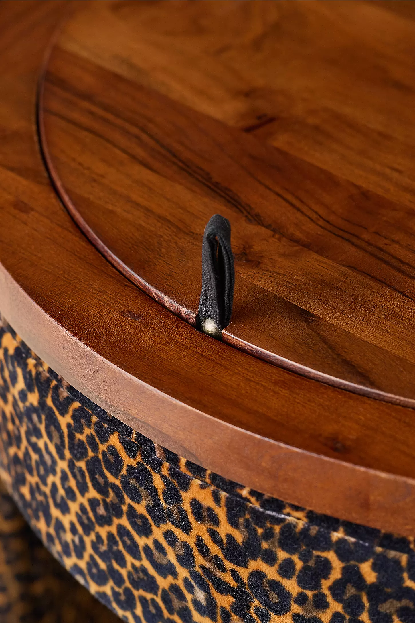 Tocador de leopardo - 4