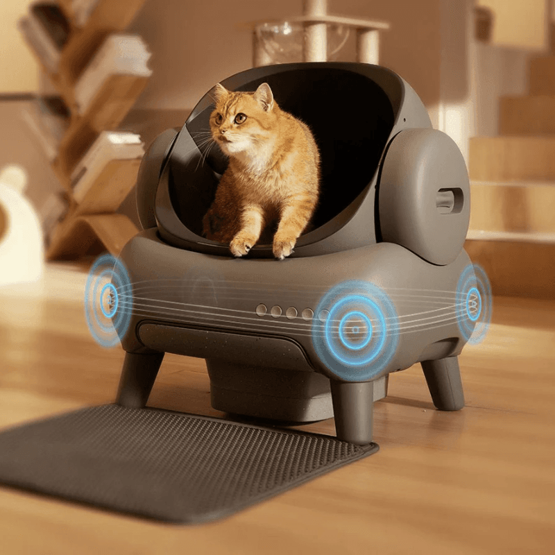 Arena para gatos inteligente - 4