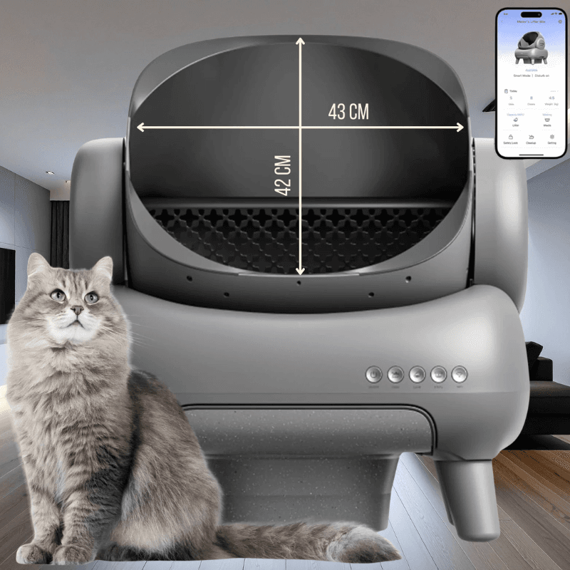 Arena para gatos inteligente - 6