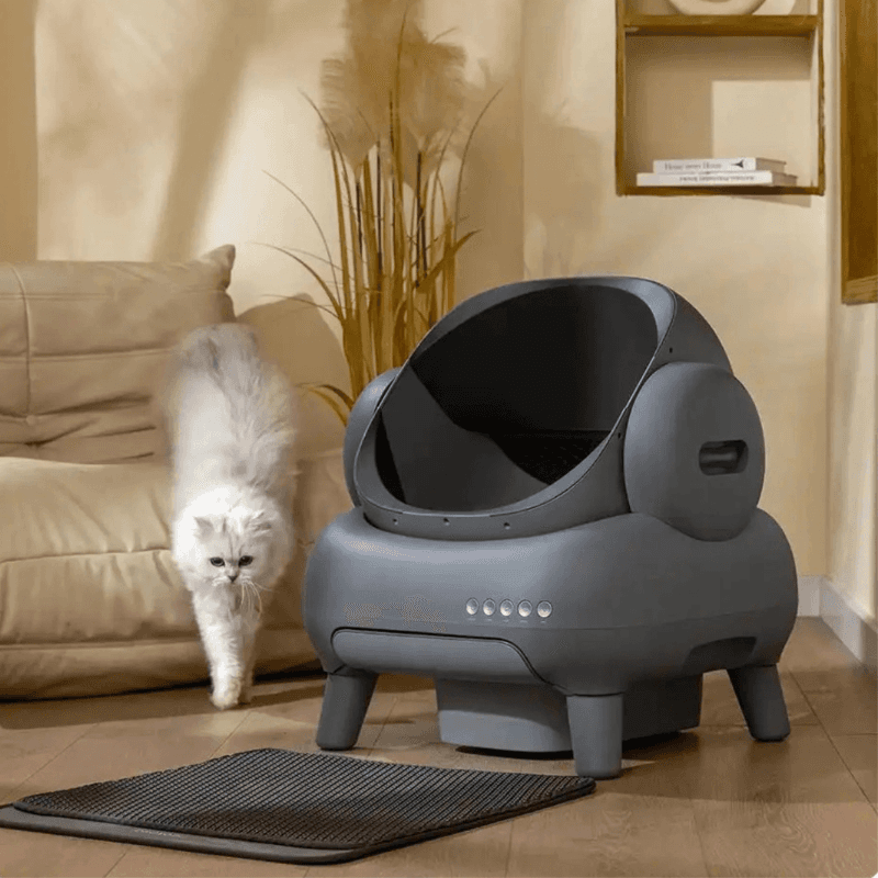 Arena para gatos inteligente - 1