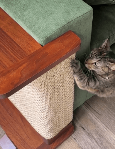 Rascador elegante para gatos - 2