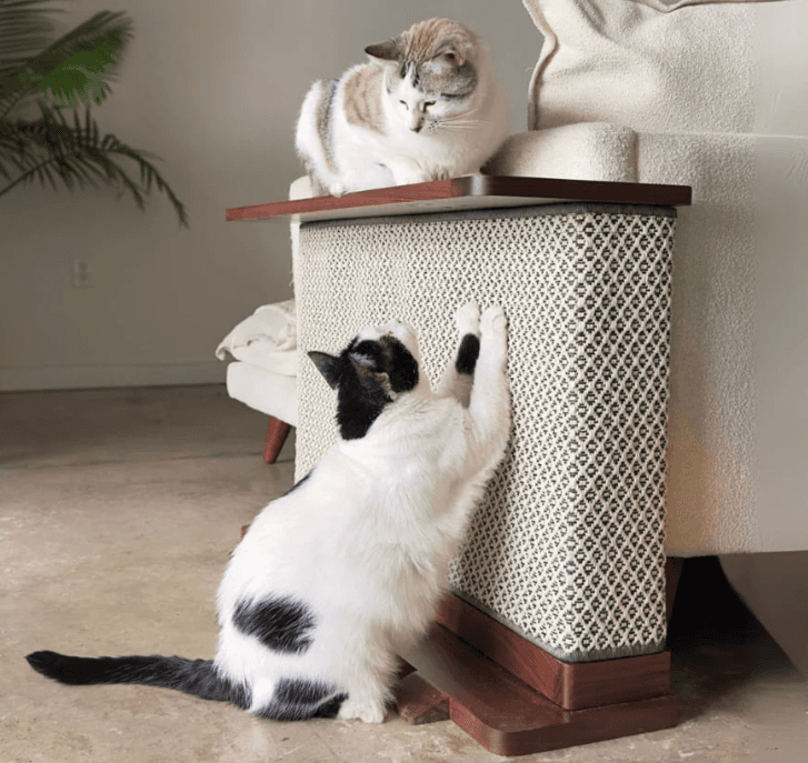 Rascador elegante para gatos - nocat | Veloria